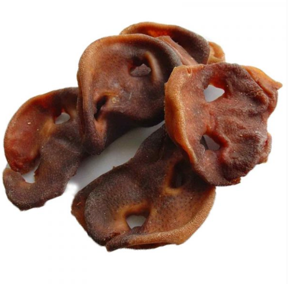 Porky Pig Snout - HOUNDS