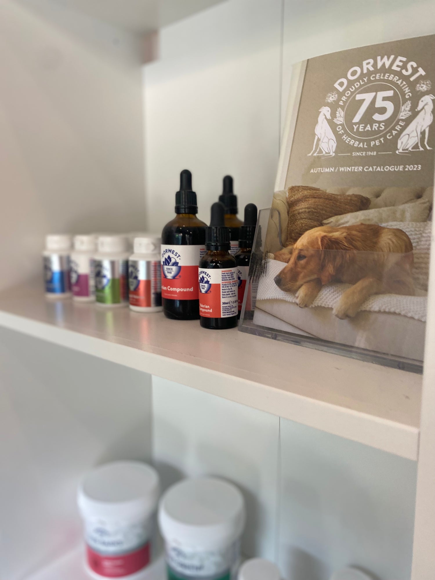 Dorwest Herbs