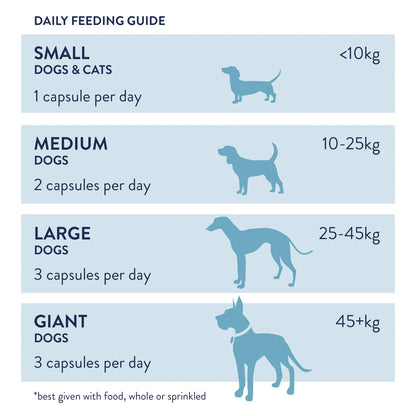 Dorwest Probiotic Plus- 100 capsules - HOUNDS