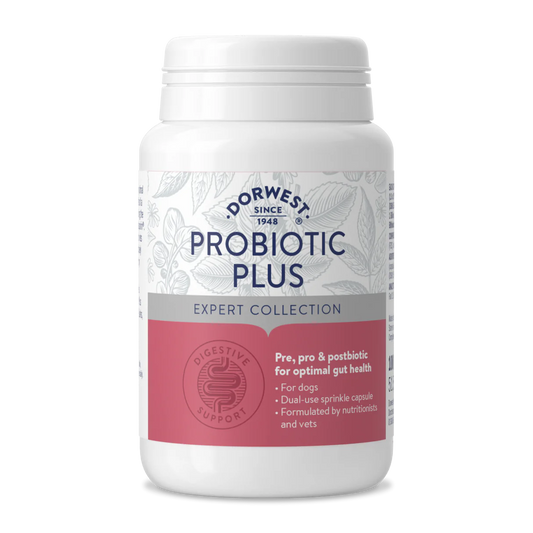 Dorwest Probiotic Plus- 100 capsules - HOUNDS