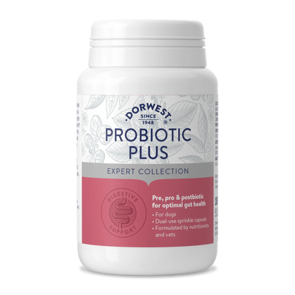 Dorwest Probiotic Plus- 100 capsules - HOUNDS