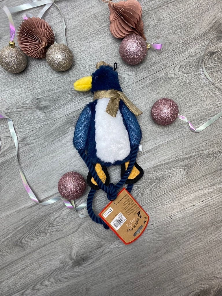 Royal Golden Penguin