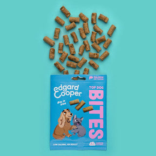 Edgard & Cooper Large Salmon Bites