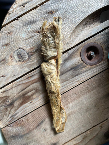 Hairy goat ears