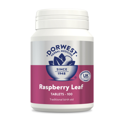 Dorwest Raspberry Leaf Tablets For Dogs - HOUNDS