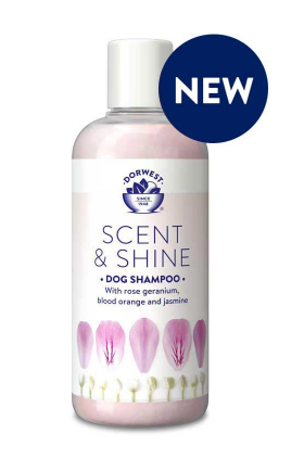 Dorwest Scent & Shine Shampoo 250ml - HOUNDS