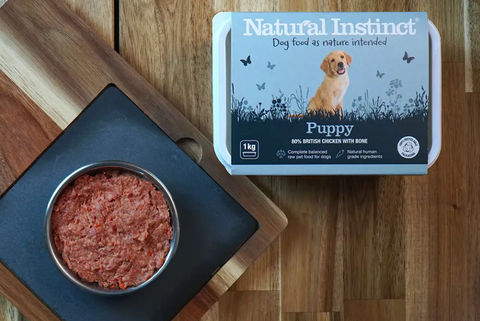 Instinct sales raw puppy