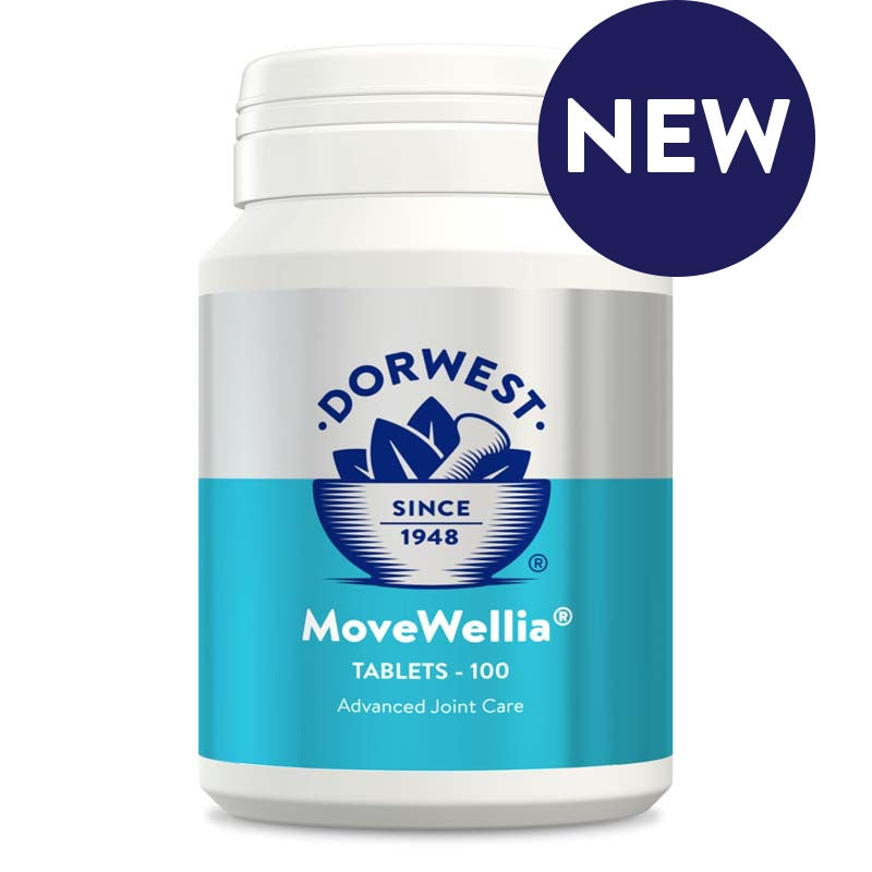 Dorwest Movewellia tablets