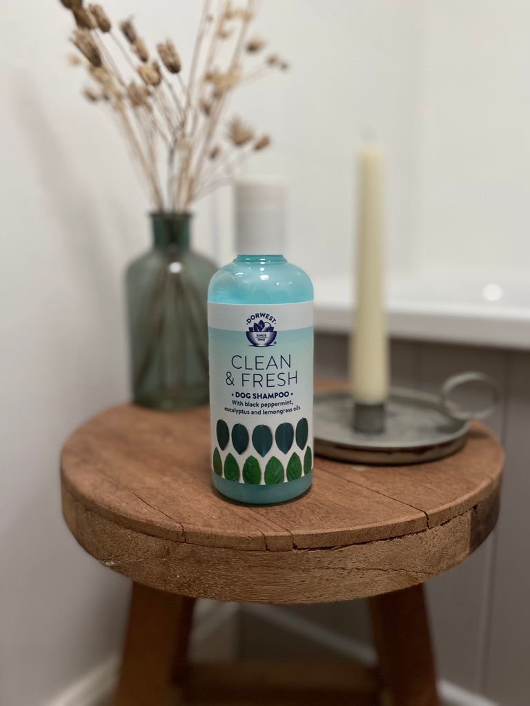 Dorwest Clean & Fresh Shampoo 250ml - HOUNDS