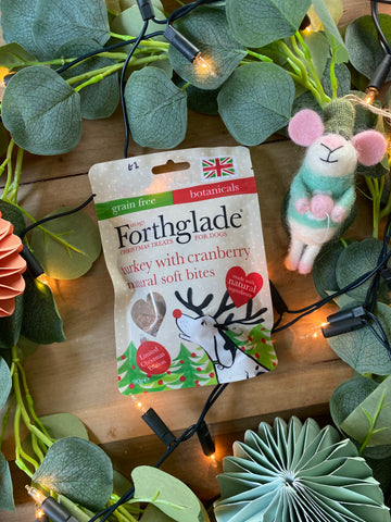 Forthglade Christmas turkey & cranberry soft bite treats - HOUNDS